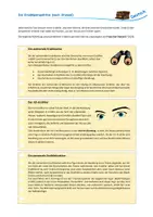Vorschau - Stundenentwürfe - Erzählperspektive / Erzähltheorie: Stanzel und Génette - Seite 3
