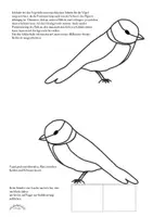 Vorschau - Arbeitsblätter - Blau- und Kohlmeisen mit Flügeln (stehend oder fliegend) (Winter, Vögel, Meise) - Frühling - Seite 2