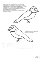 Vorschau - Arbeitsblätter - Blau- und Kohlmeisen mit Flügeln (stehend oder fliegend) (Winter, Vögel, Meise) - Frühling - Seite 3