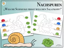 Vorschau - Arbeitsblätter - Schneckenspuren NACHSPUREN - Welche Schnecke frisst welchen Salatkopf? (für Rechts- & Linkshänder) - Deckblatt