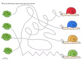 Vorschau - Arbeitsblätter - Schneckenspuren NACHSPUREN - Welche Schnecke frisst welchen Salatkopf? (für Rechts- & Linkshänder) - Seite 2