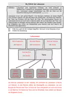 Vorschau - Arbeitsblätter - Die Vielfalt der Lebewesen - Arbeitsblatt - Seite 3