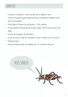 Vorschau - Unterrichtsreihen - Auf den Spuren der Gliedertiere - Seite 2