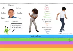 Vista previa - Hojas de trabajo - Pack: situació d'aprenentatge el cos humà - página 3