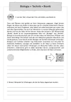 Vorschau - Arbeitsblätter - Bionik - Klette und Krake - Kleben und Haften - Seite 2