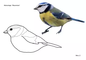 Vorschau - Mal- und Bastelvorlagen - Kunst im Winter: "Vögel im Winter" gestalten (Schwammtechnik) - Seite 2