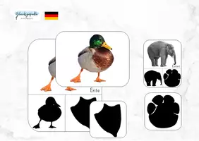 Vorschau - Stationenlernen - Fußspuren der Tiere, Fährten lesen, im Wald - Deckblatt
