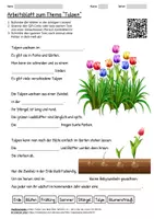 Vorschau - Arbeitsblätter - Arbeitsblatt "Tulpen" + Onlineübung & MP3 + Infografik - Deckblatt