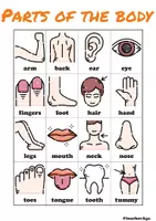 Vista previa - Juegos / Gamificación - Body parts | ESL activities | irregular plurals | flashcards, games - Portada