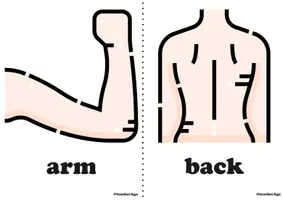 Vista previa - Juegos / Gamificación - Body parts | ESL activities | irregular plurals | flashcards, games - página 1