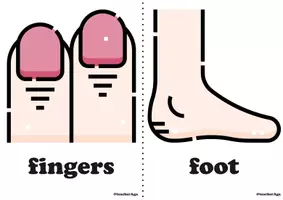 Vista previa - Juegos / Gamificación - Body parts | ESL activities | irregular plurals | flashcards, games - página 3