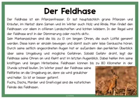 Vorschau - Stundenentwürfe - Materialpaket WALD - Seite 3