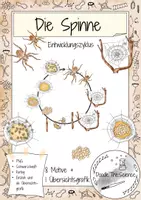 Vorschau - Poster - Die Spinne - Entwicklung, Entwicklungszyklus - Cliparts - Deckblatt