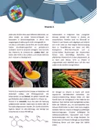 Vorschau - Arbeitsblätter - Gruppenpuzzle - Vitamine - Seite 2