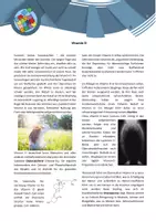Vorschau - Arbeitsblätter - Gruppenpuzzle - Vitamine - Seite 3