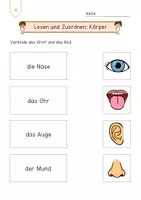 Vorschau - Arbeitsblätter - Lesen und Zurodnen - Körperteile des Menschen (dreifachdifferenziert) - Seite 1