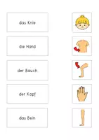 Vorschau - Arbeitsblätter - Lesen und Zurodnen - Körperteile des Menschen (dreifachdifferenziert) - Seite 2