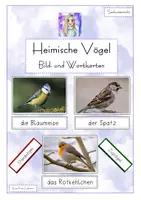 Vorschau - Präsentationen/Tafelbilder - Bild- und Wortkarten - Heimische Vögel - Deckblatt