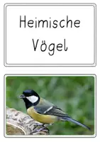 Vorschau - Präsentationen/Tafelbilder - Bild- und Wortkarten - Heimische Vögel - Seite 1