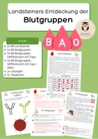 Vorschau - Stundenentwürfe - Blutgruppen nach Karl Landsteiner (differenziert); Reihe Blut, AB0-System - Deckblatt