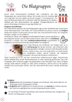Vorschau - Stundenentwürfe - Blutgruppen nach Karl Landsteiner (differenziert); Reihe Blut, AB0-System - Seite 2