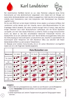 Vorschau - Stundenentwürfe - Blutgruppen nach Karl Landsteiner (differenziert); Reihe Blut, AB0-System - Seite 3