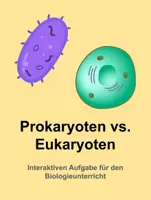 Vorschau - Stundenentwürfe - Sparpaket: Prokaryoten und Eukaryoten im Vergleich - Unterrichtsreihe (Stundenentwürfe, Arbeitsblätter, Texte, Aufgaben & Test) - Seite 1