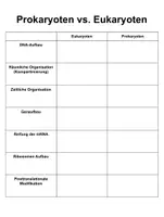 Vorschau - Stundenentwürfe - Sparpaket: Prokaryoten und Eukaryoten im Vergleich - Unterrichtsreihe (Stundenentwürfe, Arbeitsblätter, Texte, Aufgaben & Test) - Seite 3