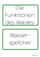Vorschau - Arbeitsblätter - Materialpaket: HSU - Die Funktionen des Waldes - Seite 1
