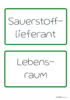 Vorschau - Arbeitsblätter - Materialpaket: HSU - Die Funktionen des Waldes - Seite 3