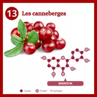 Aperçu - Affichage - Calendrier de l'avent - partie 2/2 - Page de couverture