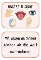 Vorschau - Fördermaterial/Inklusion - Unsere 5 Sinne – Lege und Tafelmaterial - Seite 2