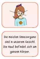 Vorschau - Fördermaterial/Inklusion - Unsere 5 Sinne – Lege und Tafelmaterial - Seite 3