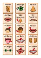 Vorschau - Spiele - Reaktionsspiel Blitzlesen - Körperteile des Menschen (und Handreichung) - Seite 1