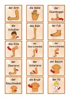 Vorschau - Spiele - Reaktionsspiel Blitzlesen - Körperteile des Menschen (und Handreichung) - Seite 3