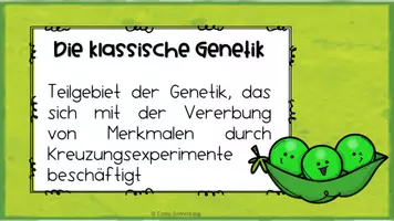 Vorschau - Präsentationen/Tafelbilder - Mendel - Klassische Genetik - Powerpoint-Präsentation - Seite 2