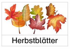 Vorschau - Mal- und Bastelvorlagen - Kunstidee Herbst Igel - Seite 3