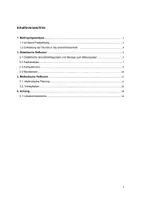 Vorschau - Stundenentwürfe - Englisch Lehrprobe "Planning a day in Hollywood" - Seite 2
