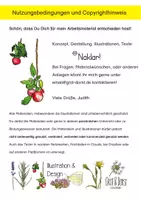Vorschau - Arbeitsblätter - Linde - Arbeitsblatt - Herbarium - Seite 2