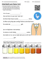 Vorschau - Arbeitsblätter - Lernposter + Arbeitsblatt "Urin" + Onlineübung & MP3 + Mindmap + Infografik - Seite 1