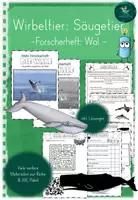 Vorschau - Unterrichtsreihen - Wirbeltiere I Forscherheft I Wal I Säugetier - Deckblatt