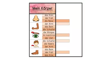 Vorschau - Stationenlernen - Klammerkarten mit Selbstkontrolle - Körperteile des Menschen - Seite 2