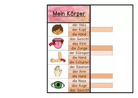 Vorschau - Stationenlernen - Klammerkarten mit Selbstkontrolle - Körperteile des Menschen - Seite 3
