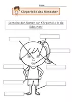 Vorschau - Arbeitsblätter - Arbeitsblätter Beschriftung des Körpers - Seite 1