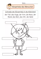 Vorschau - Arbeitsblätter - Arbeitsblätter Beschriftung des Körpers - Seite 2