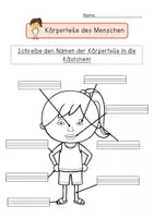 Vorschau - Arbeitsblätter - Arbeitsblätter Beschriftung des Körpers - Seite 3