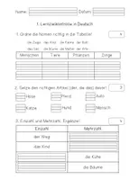 Vorschau - Test - Lernzielkontrolle (Nomen, ABC, abschreiben) - Seite 1