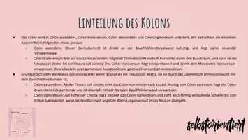 Vorschau - Stundenentwürfe - Caecum & Kolon: Text & Karteikarten zum Lernen - Seite 2