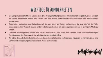 Vorschau - Stundenentwürfe - Caecum & Kolon: Text & Karteikarten zum Lernen - Seite 3