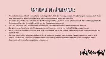 Vorschau - Stundenentwürfe - Rektum & Analkanal: Texte & Lernkarten für den Biologieunterricht - Seite 2